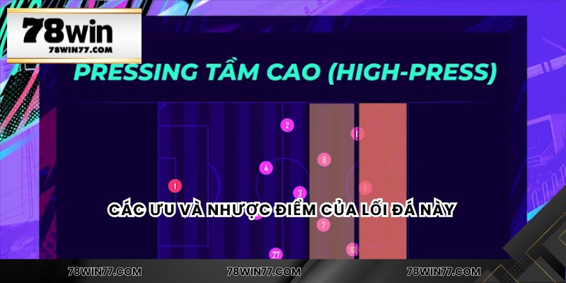 Các ưu và nhược điểm của lối đá này